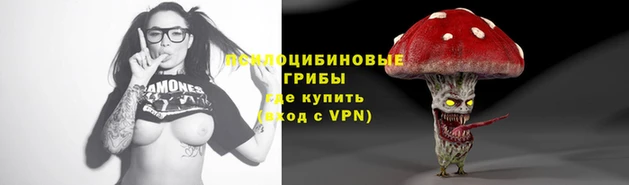 мескалин Абаза