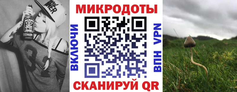 где найти наркотики  hydra как войти  Галлюциногенные грибы Cubensis  Ростов-на-Дону 